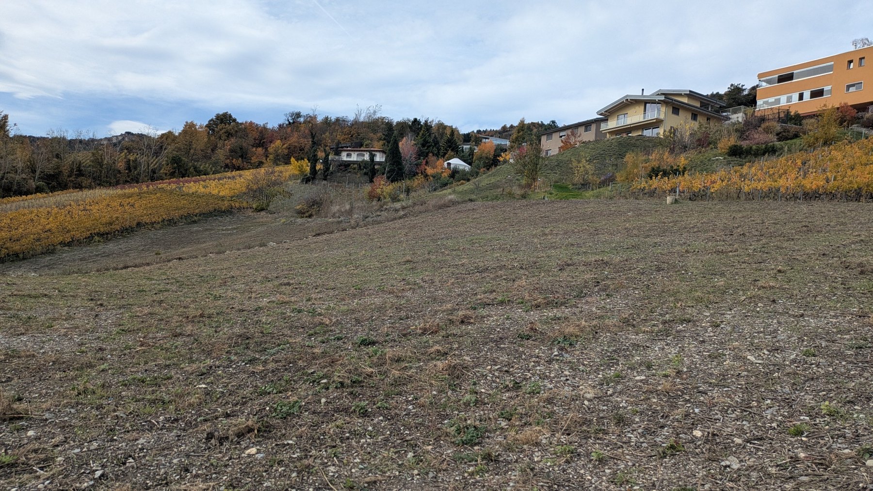 Octobre 2025 · Le champ au fil de l’automne.